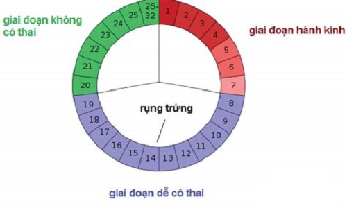 cach-tinh-ngay-rung-trung