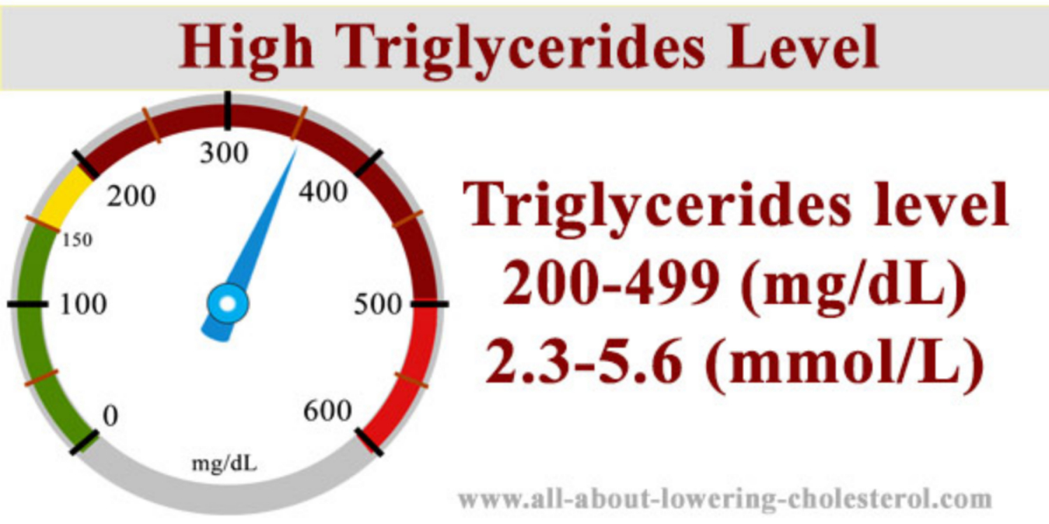 triglyceride cao la gi